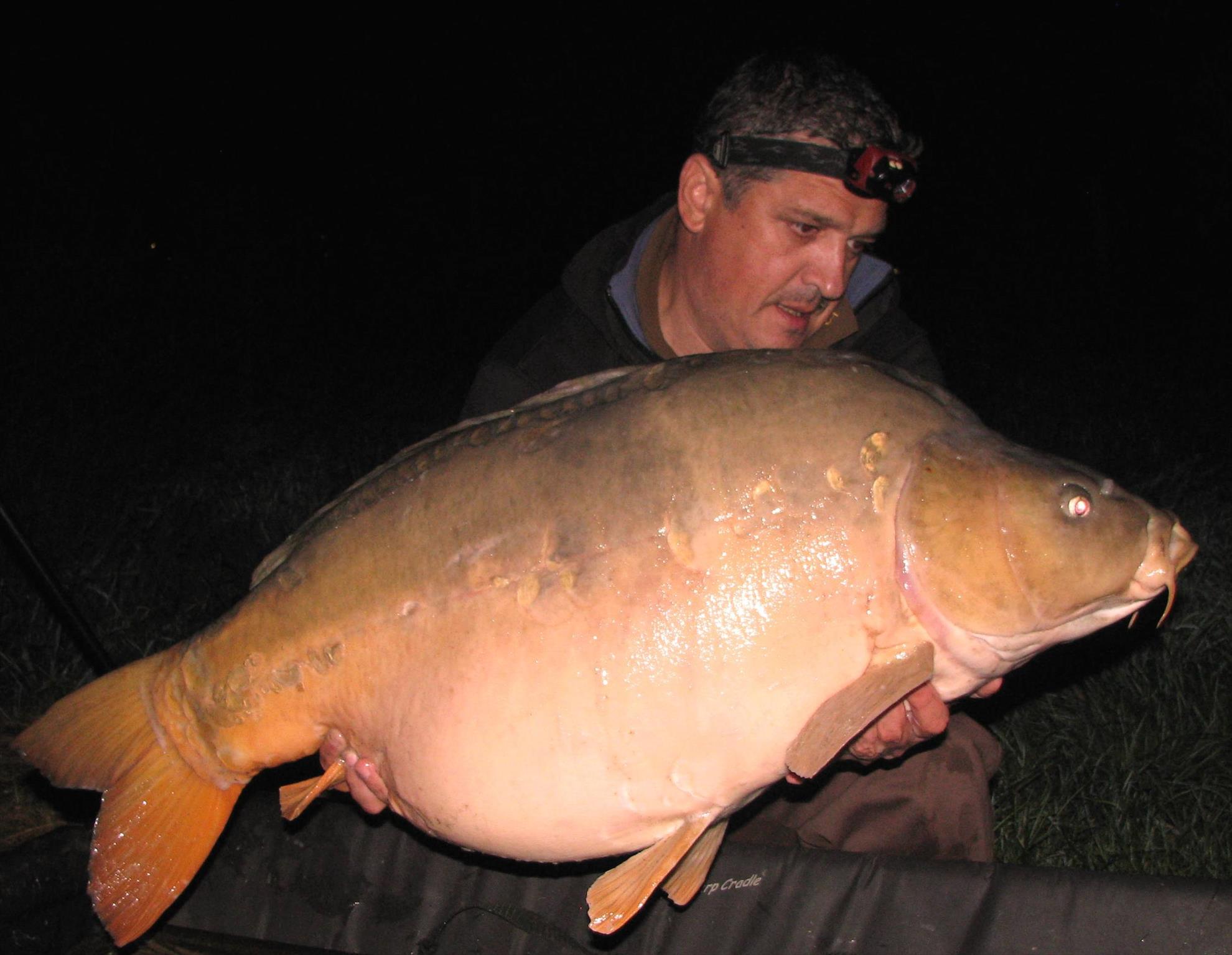 Harsany septembrie 2014